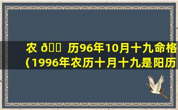 农 🐠 历96年10月十九命格（1996年农历十月十九是阳历 🦁 几月几日）